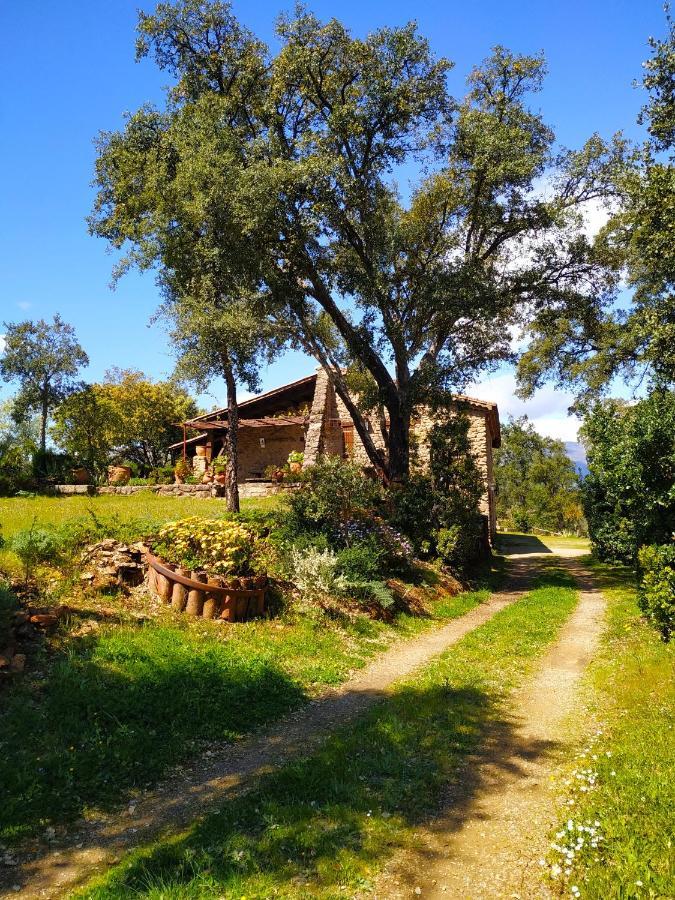 La Simona Casa Rural Perales del Puerto Exterior photo